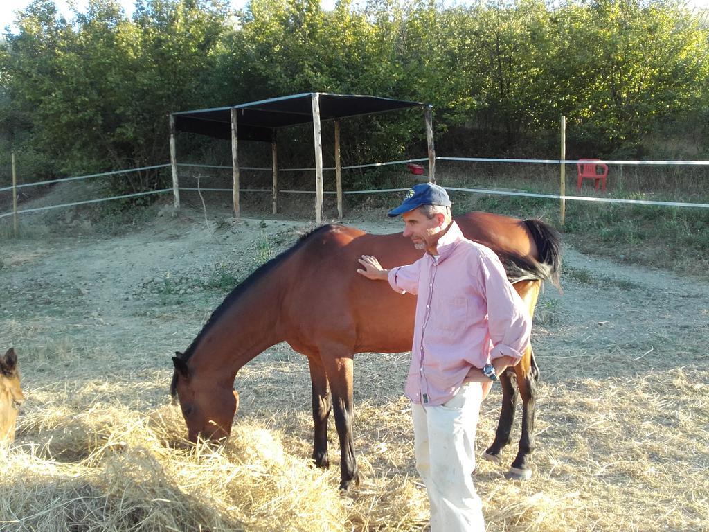 Agriturismo Il Torrione Farm stay Certaldo